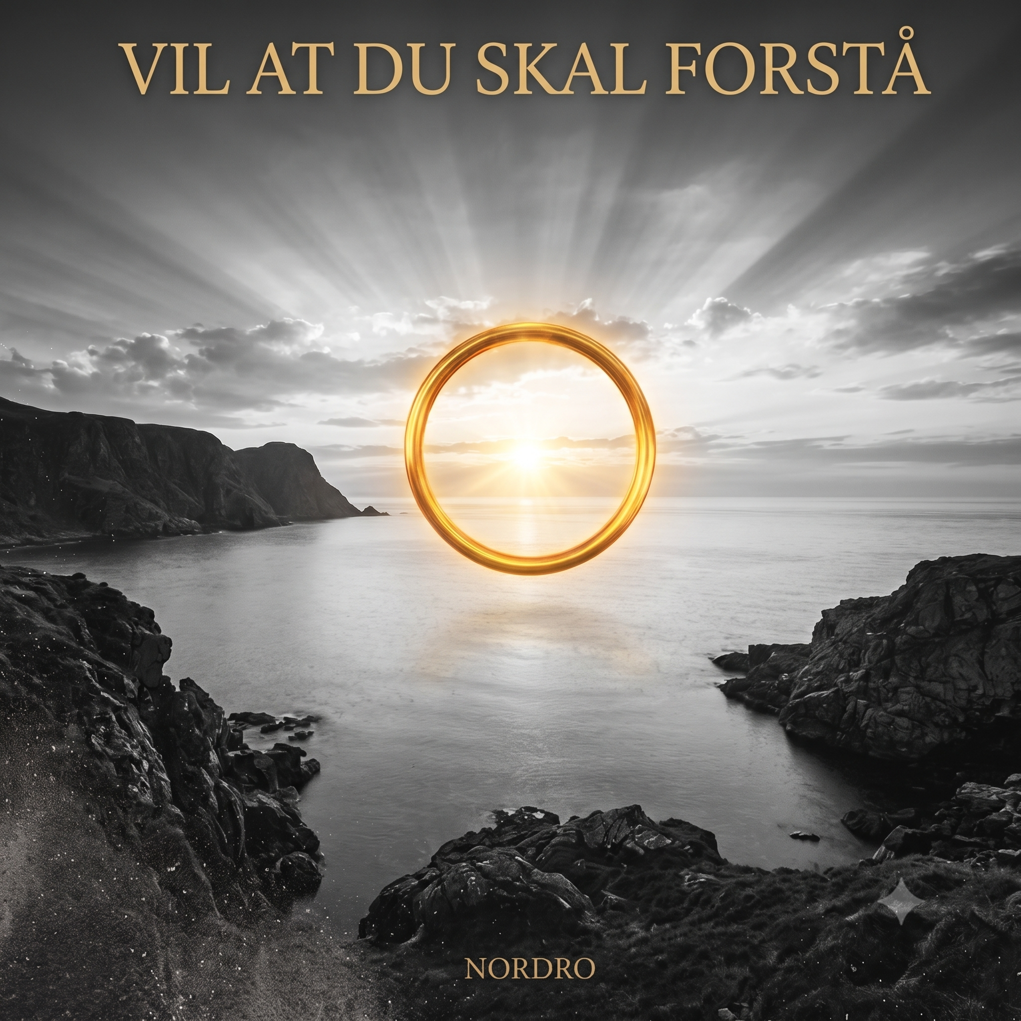 Vil at du skal forstå Cover